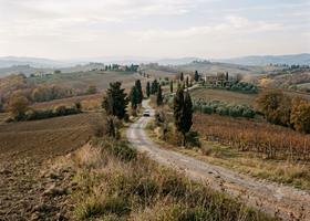 A lane winding through autumn vineyards and cypress, Tuscany